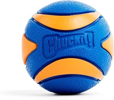 Bola para Cachorro Chuckit Ultra Squeaker 5